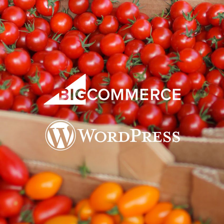 WordPress Collaboration To Scale Up eCommerce Services
